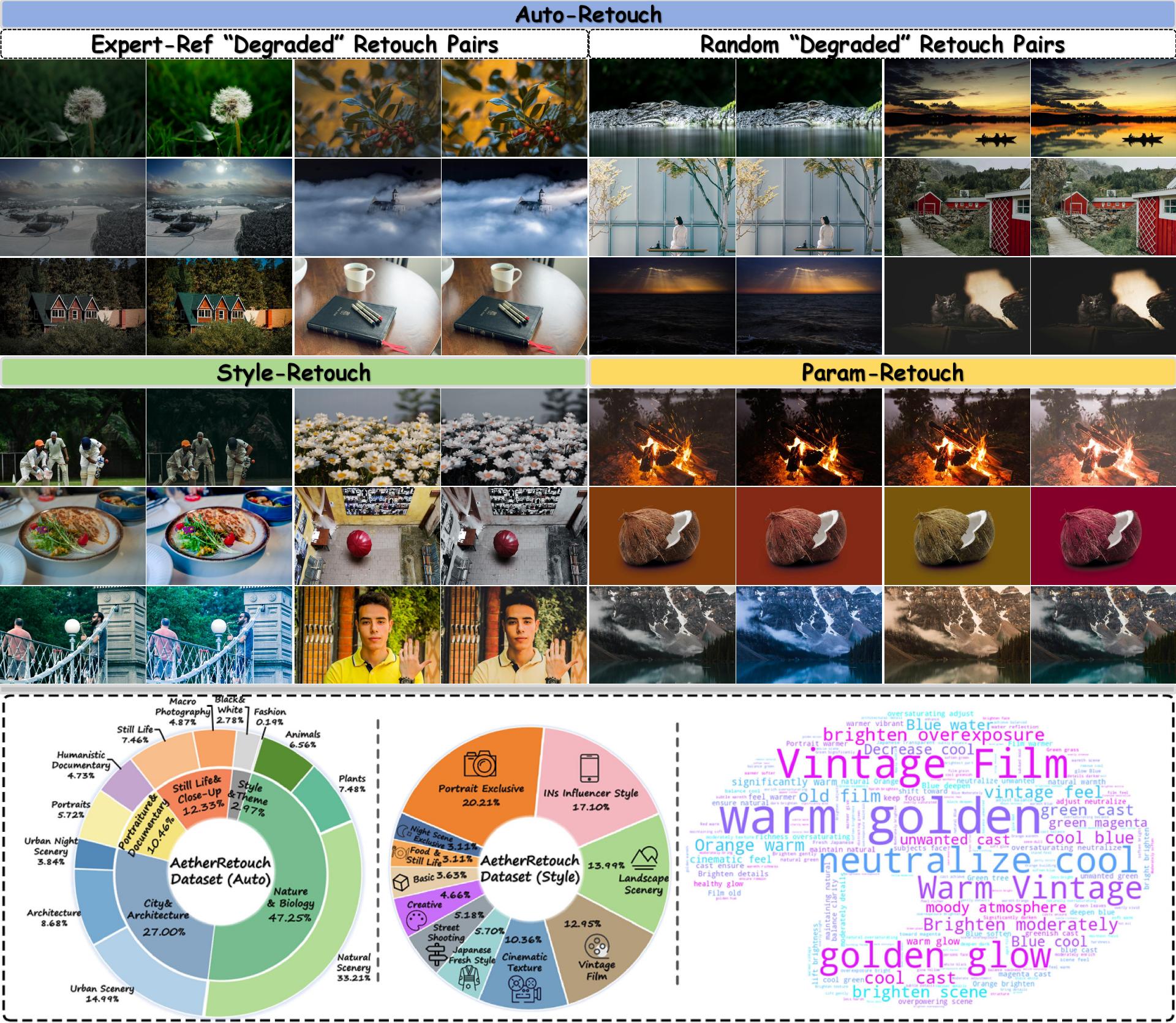 Representative examples from the AetherRetouch dataset